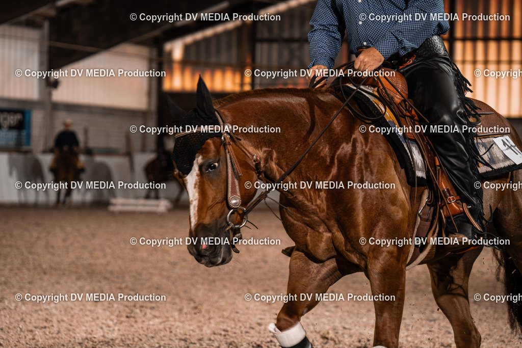 ZH300295 | dv-media-shop - Realisiert mit Pictrs.com