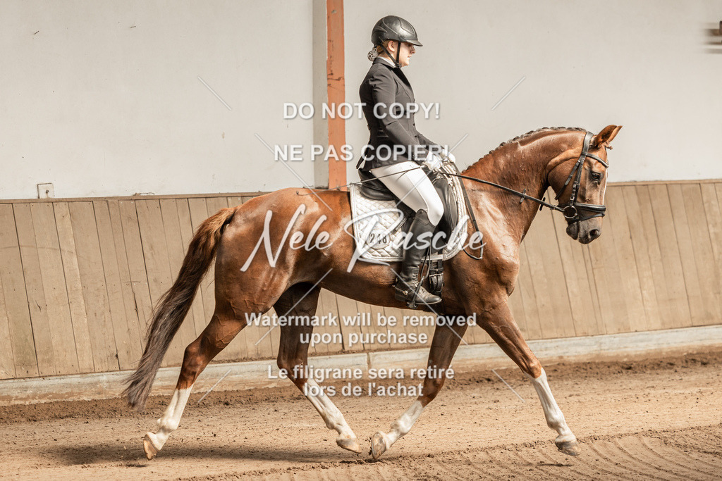 nelerasche_DrA__Ede_06 | nelerasche