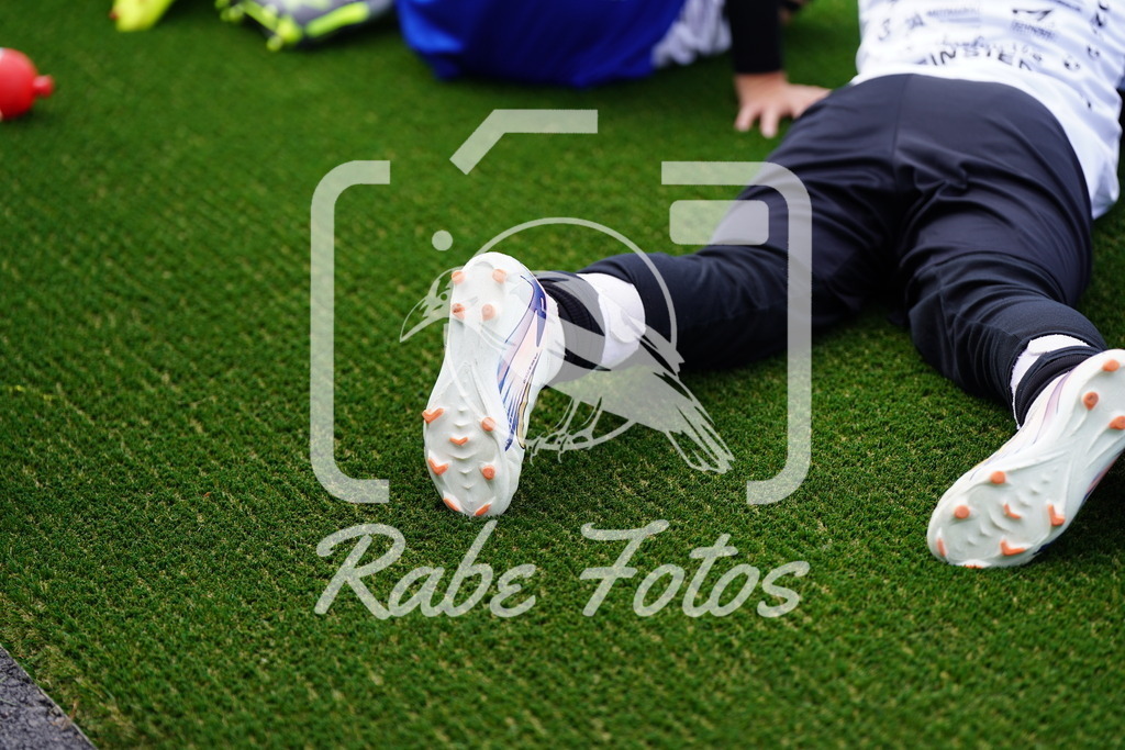 SON07796 | rabefotos