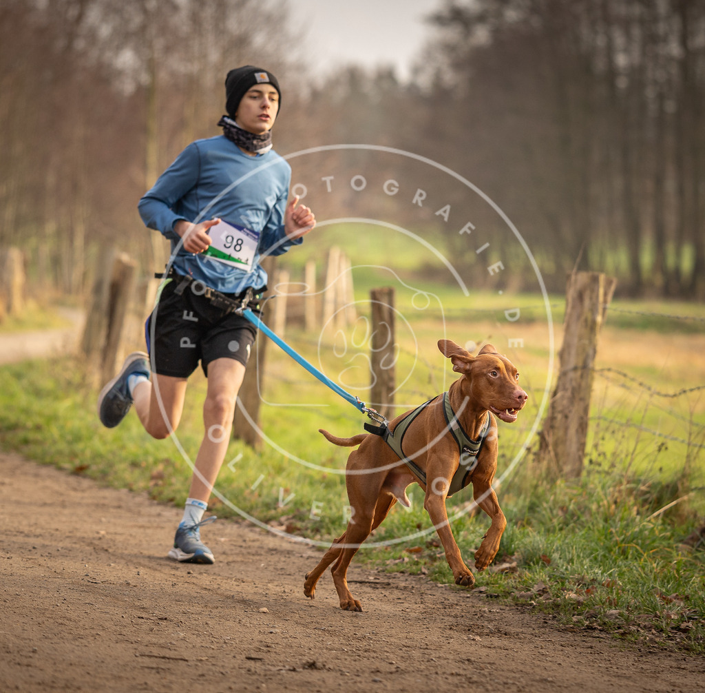 Pfotenfotografie_DV3A4480 | Hundefotografie, Tierfotograf, Pfotenfotografie, Fotoshooting Hund, Hunde Portrait, Hundesport, Hundeportraits, Heideshooting, Hunde, Sportfotograf, Hundefotograf, Turnierhundsport, THS,  - Realisiert mit Pictrs.com