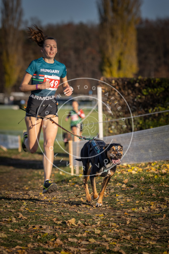 CaniXpix_DV3A2381 | Hundefotografie, Tierfotograf, Pfotenfotografie, Fotoshooting Hund, Hunde Portrait, Hundesport, Hundeportraits, Heideshooting, Hunde, Sportfotograf, Hundefotograf, Turnierhundsport, THS,  - Realisiert mit Pictrs.com