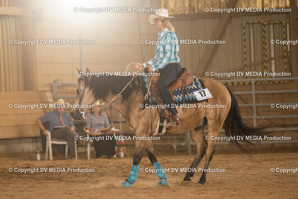 NID03786 | dv-media-shop - Realisiert mit Pictrs.com