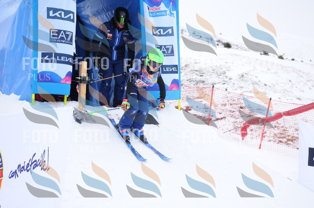 DSC_8668 | holidayphoto