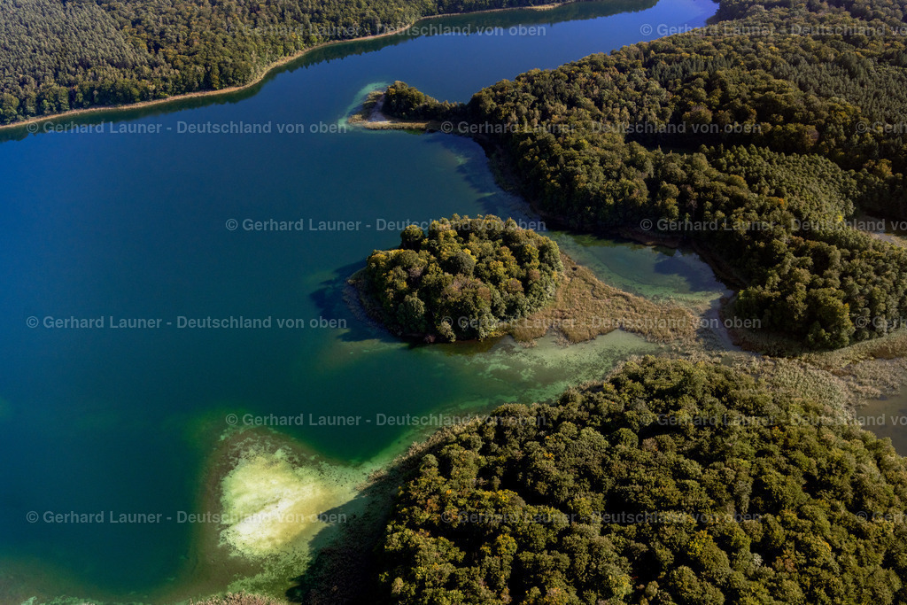 4062358 | HEIMLAND 08.09.2021 Waldgebiete am Ufer des See Großer Wummesee in Heimland im Bundesland Brandenburg. // Forests on the shores of Lake Grosser Wummesee in Heimland in the state Brandenburg. Foto: Gerhard Launer
