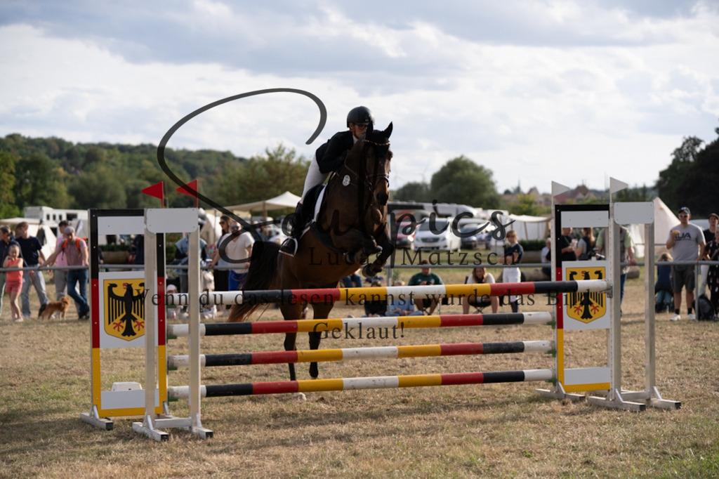 A7V09779 | Pferdefotograf