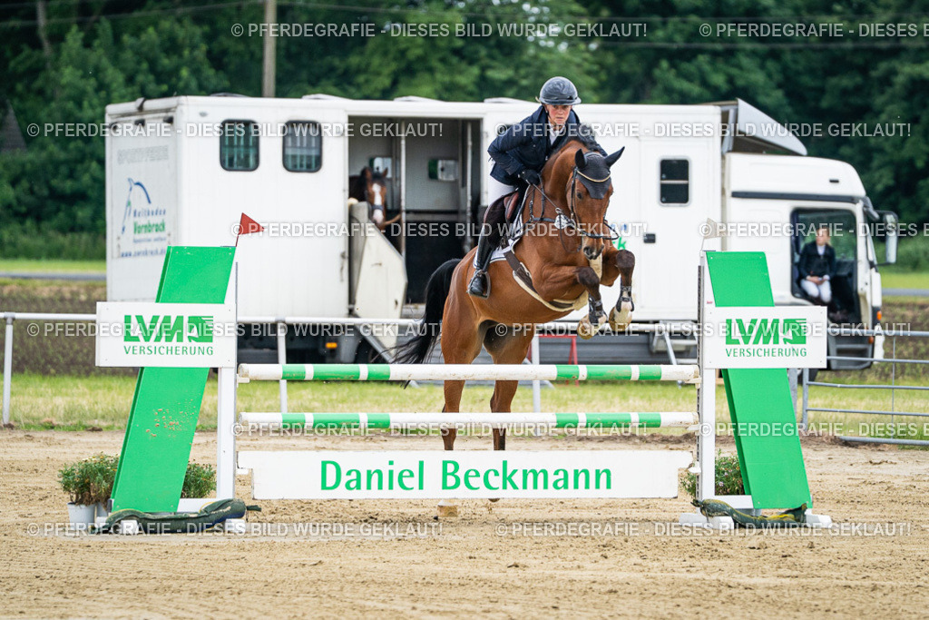 DSC05774 | Pferdegrafie