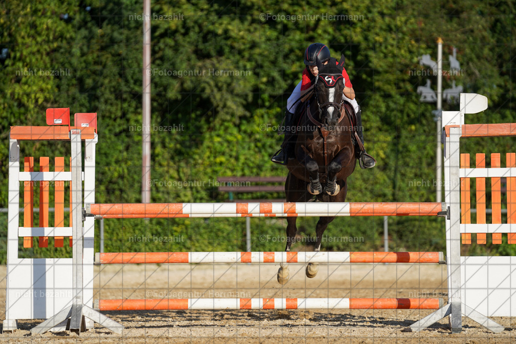 20240824-FAH08775 | Thierhaupten 2024, Bayerisches Landesponyturnier, Turnierbilder, Ponybilder, Turnierfotografen Bayern, Fotoagentur Herrmann