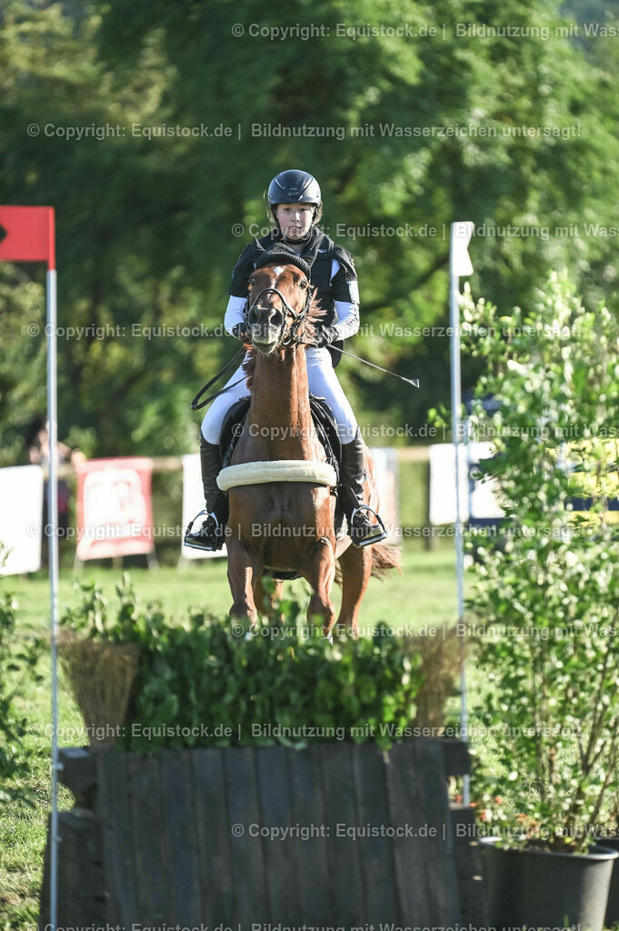 20230909_20_Leonberger-Derby_0067 | Foto: Thomas Hartig