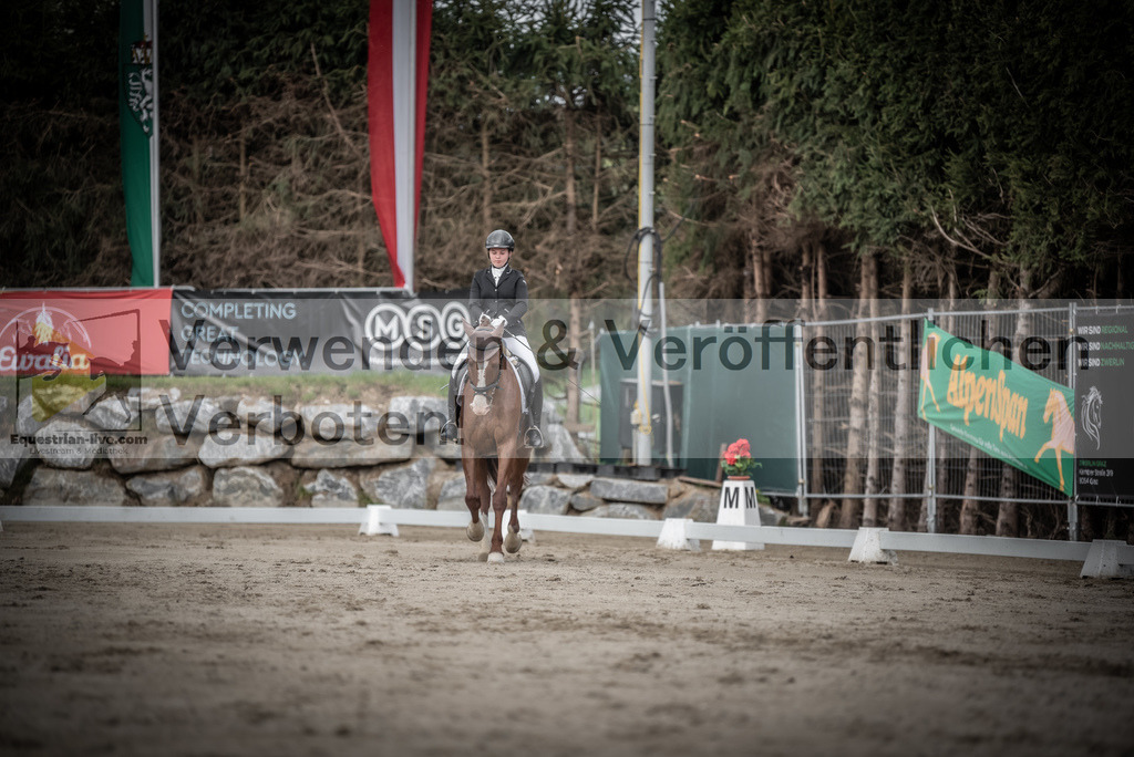 DSC_3085 | equestrian-live-com
