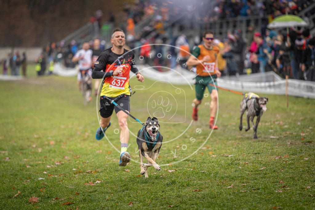 CaniXpix_DV3A9695 | Hundefotografie, Tierfotograf, Pfotenfotografie, Fotoshooting Hund, Hunde Portrait, Hundesport, Hundeportraits, Heideshooting, Hunde, Sportfotograf, Hundefotograf, Turnierhundsport, THS,  - Realisiert mit Pictrs.com