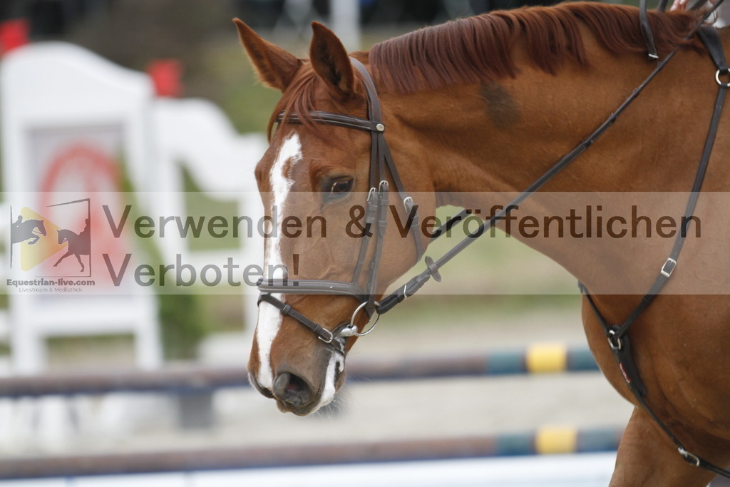 _MG_2830 | equestrian-live-com