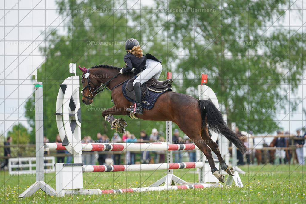 20240509-FAH02660 | Turnierbilder der Turnierfotografen Bayern, Pferdesport Fotografie, Reitsportbilder, Turnier Landberg am Lech, Turnierbilder bayern, Fotoagentur Herrmann