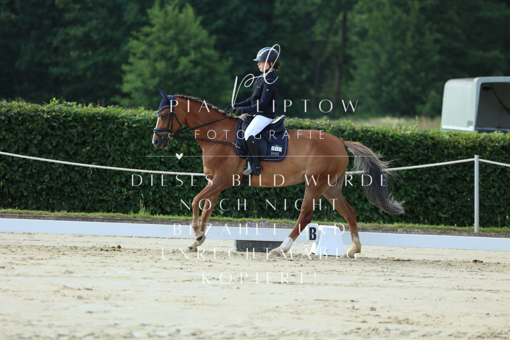 IMGM8601 | pl-fotografie