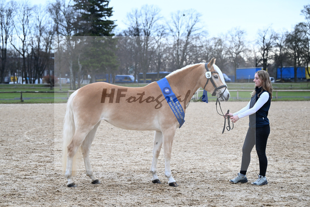 Bl. Band Kat-Nr. 3 Lorena v. Sterlington_Weber_48251699 | hf-fotografie - Realisiert mit Pictrs.com