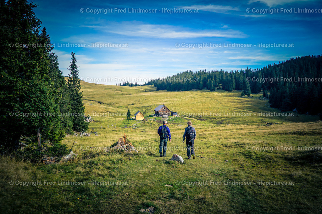 Niederalpl Wetterin Herrenboden-01266 | Fotos und Fotoprodukte - Realisiert mit Pictrs.com