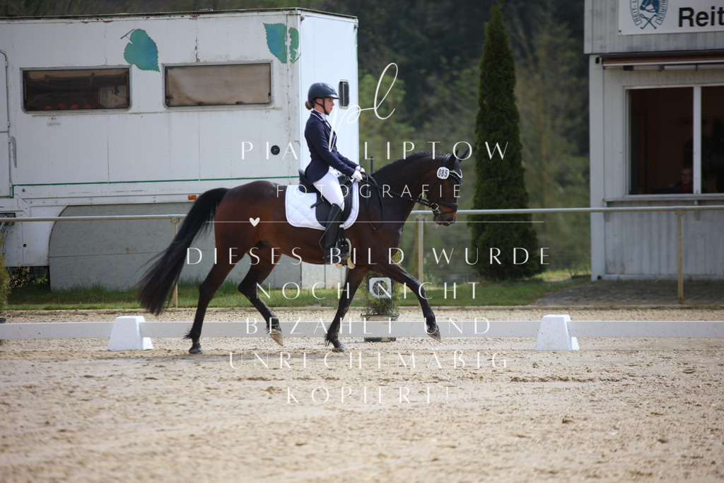 IMGT2634 | pl-fotografie