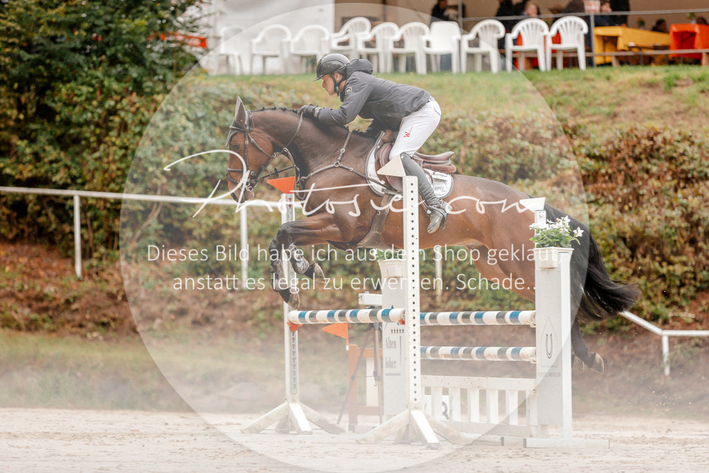 3I6A5907 | Stimmungsvolle Portraits und Reitsportfotografie im Ruhrgebiet und im Münsterland.

Pferdefotografie, Hundefotografie, Tierfotografie, Reportagen, Portraits von Tier und Mensch, Turnierfotografie in Bochum, Recklinghausen, Marl, Haltern am See, Dülmen.. - Realisiert mit Pictrs.com