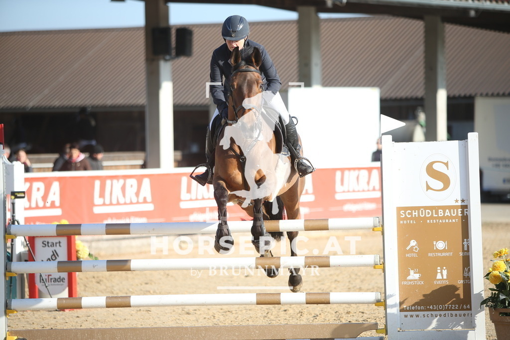 AS8V4833 | Willkommen bei Brunnmayr - Design & Fotografie – Ihrem Spezialisten für Reitturniere und Pferdeveranstaltungen in Oberösterreich, Salzburg und Bayern! Seit über 17 Jahren sind wir leidenschaftlich dabei.