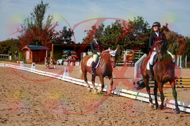 2026_10_03_Siefer-Hof_130444_Z63_67768976 | Professionelle Reitsport-, Turnier- und Eventfotografie von Robert Broda. Galerien mit ausgewählten und bearbeiteten Bildern direkt online ansehen und bestellen.