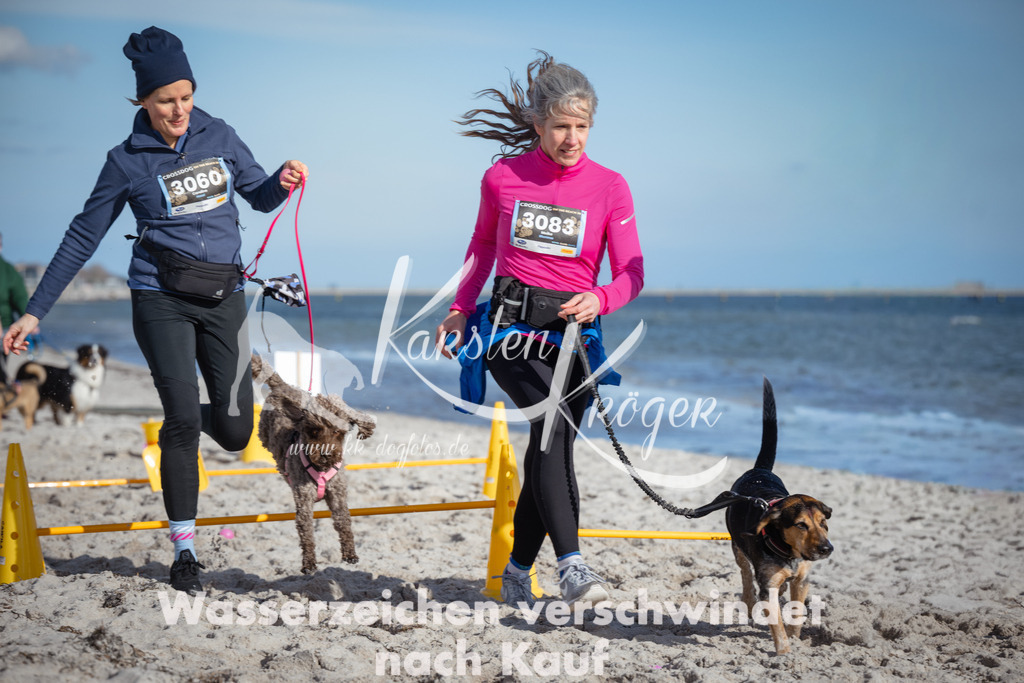 1347_ZZ93566 | kk-dogfotos