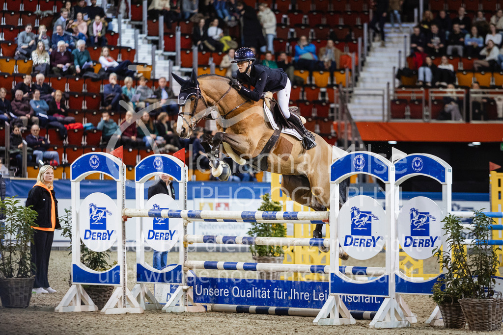 250108_Muenster_Hengstpräsentation-187 | Deine schönsten Turniermomente als professionelle Fotos! Entdecke hochwertige Pferdesport-Fotografie im Online-Shop. Jetzt Fotos finden & bestellen!