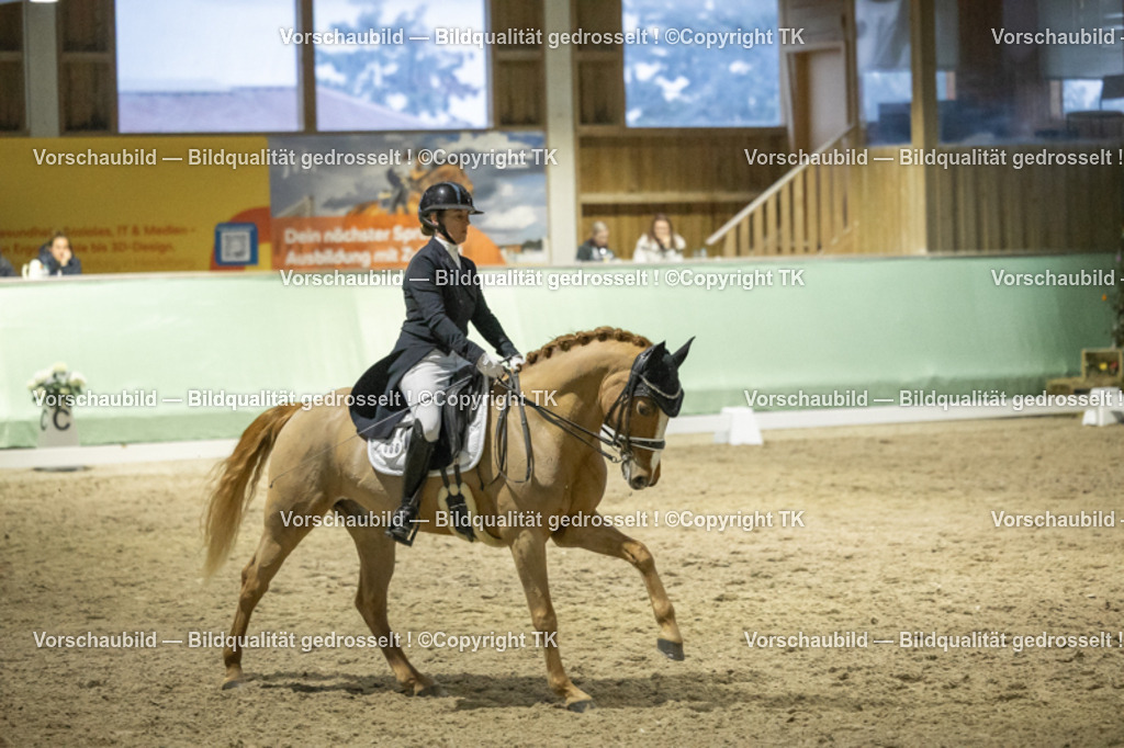 _D5A7253 | Emotionale Pferde- & People-Fotografie rund um Heidelberg, Leimen & Umgebung. Natürliche Fotos von Pferd, Mensch & Familie. Jetzt Termin sichern!