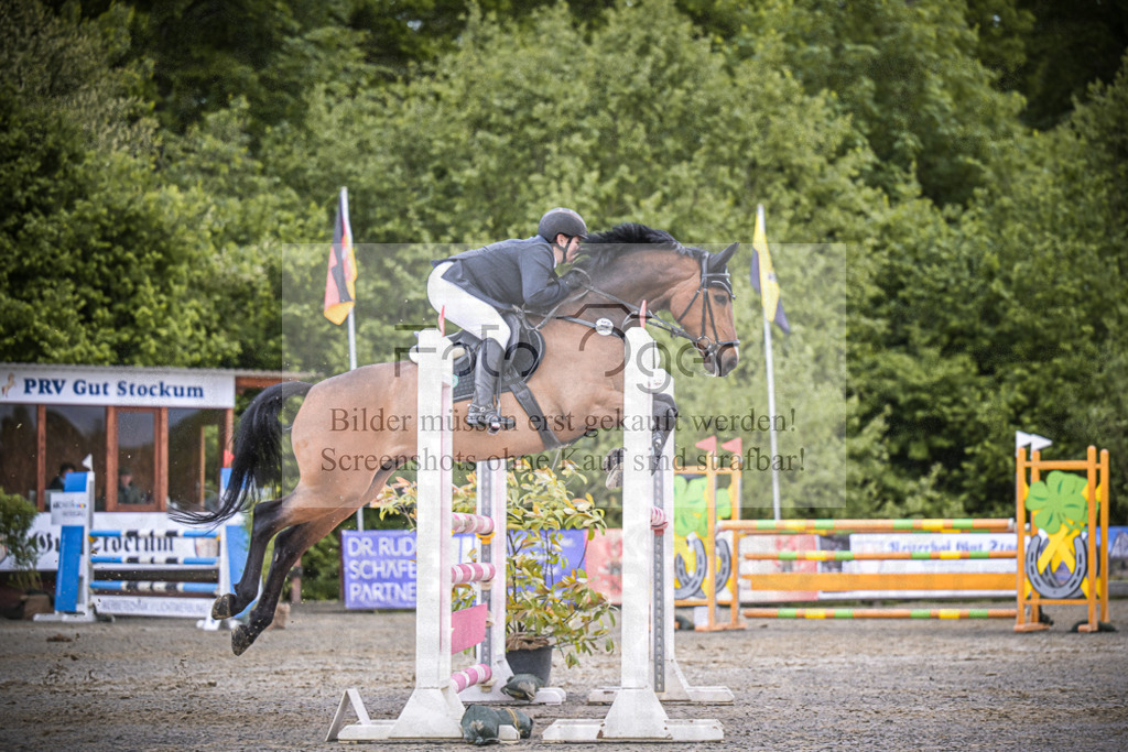 DOS_1863 | Entdecke hochwertige Reitturnierfotos von Foto Oger. Professionell, emotional und authentisch – jetzt Lieblingsmomente im Shop bestellen.Deutschlandweite Turnierfotografie. - Realisiert mit Pictrs.com