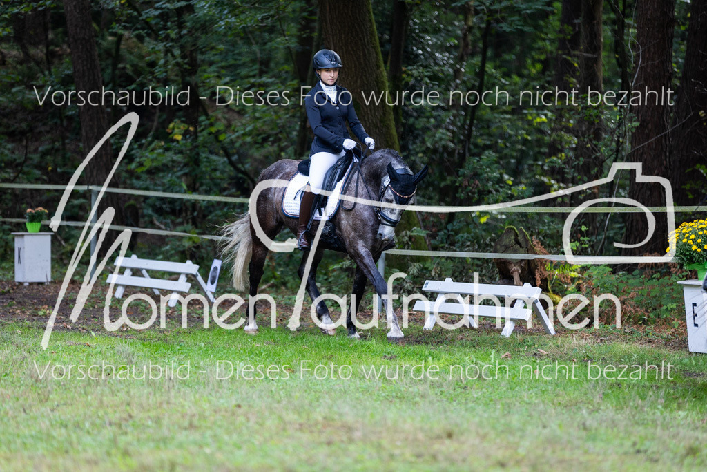 HB-A-Dressur-064 | MomenTaufnahmen Pferdesportfotos