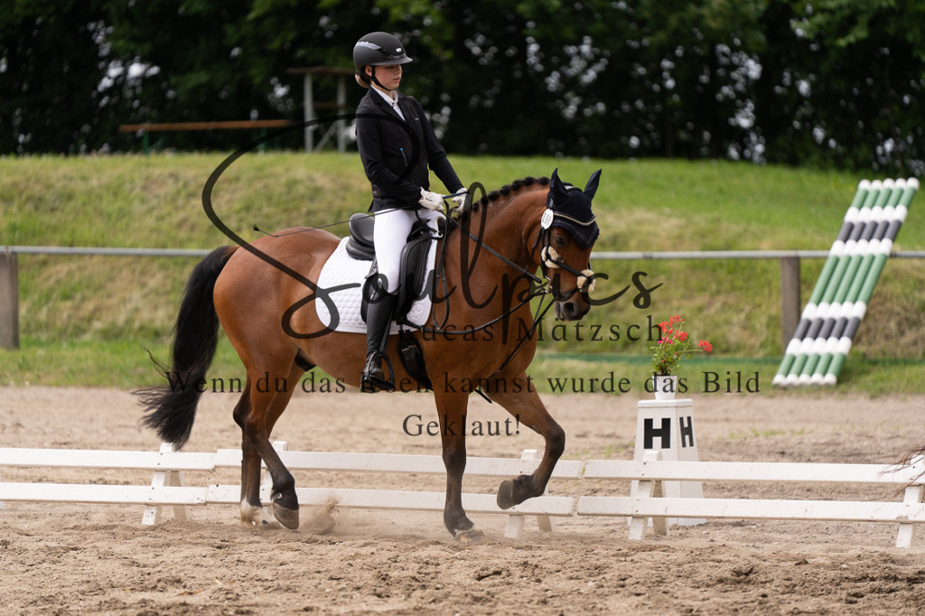 A7505911 | Turnier/Reitfotograf