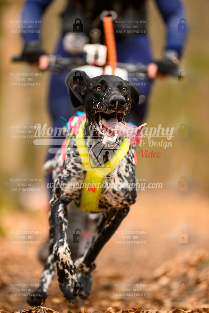 MompixPhotography_Habay2025_SA_Bike-124 | PayLife