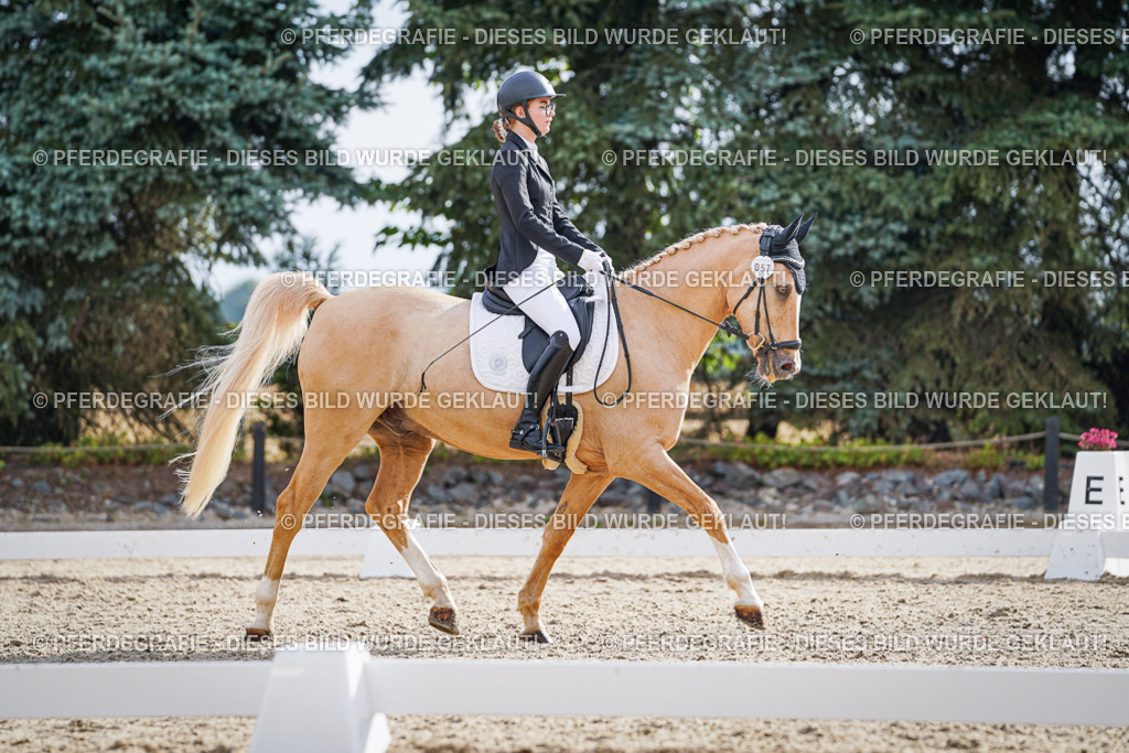 DSC00909 | Pferdegrafie