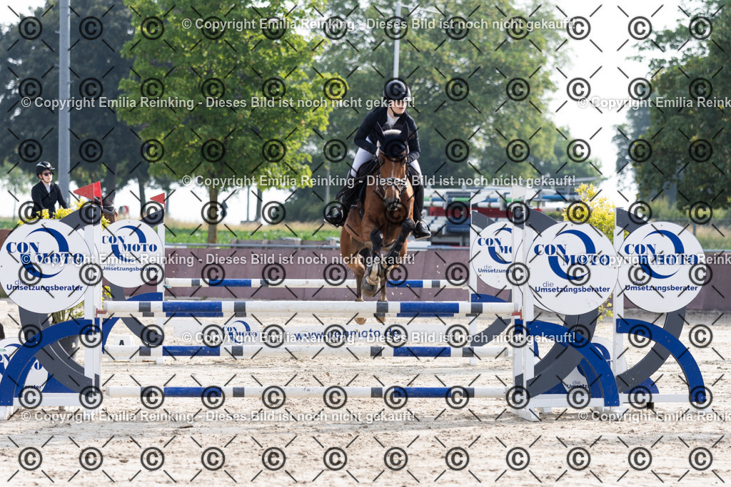 CL5A1666 | Emilia Reinking Fotografie - Realisiert mit Pictrs.com