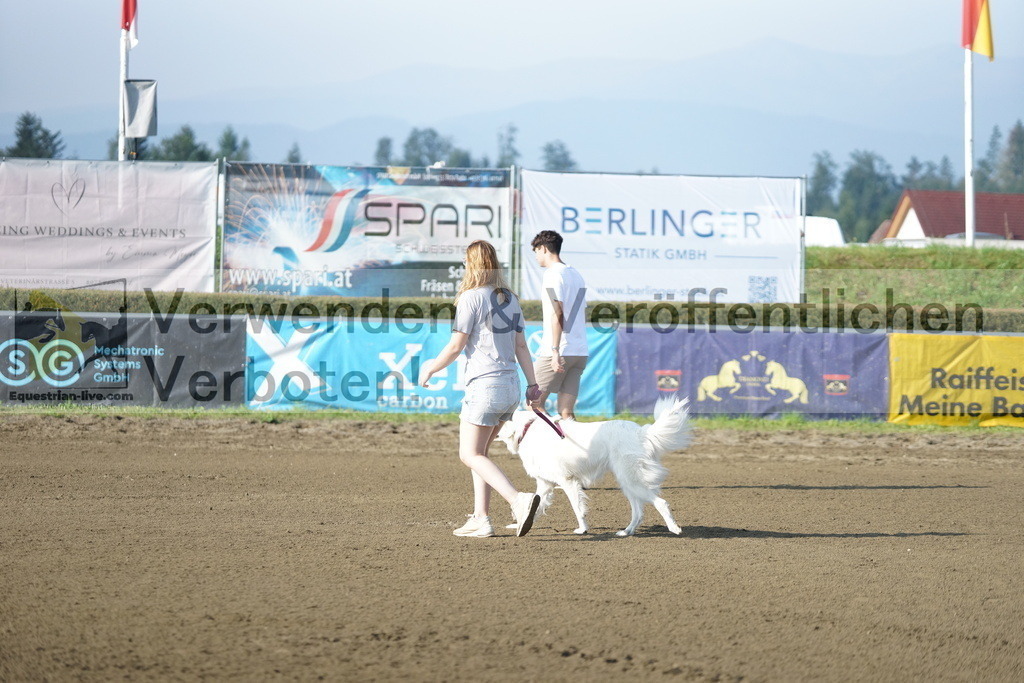 DSC02741 | equestrian-live-com
