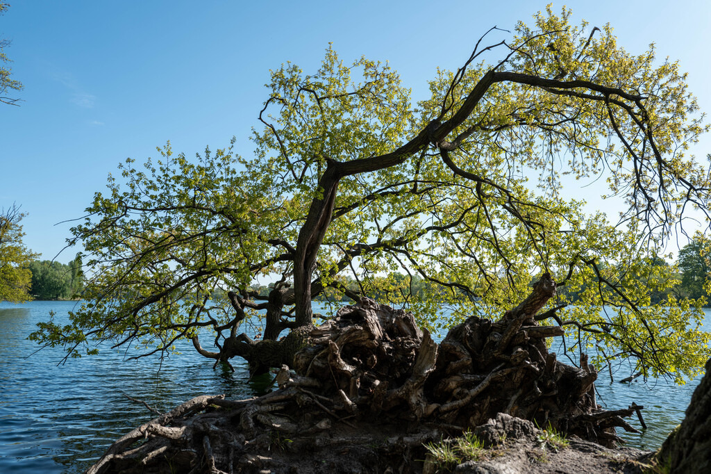 Potsdam (75) | hgt-foto