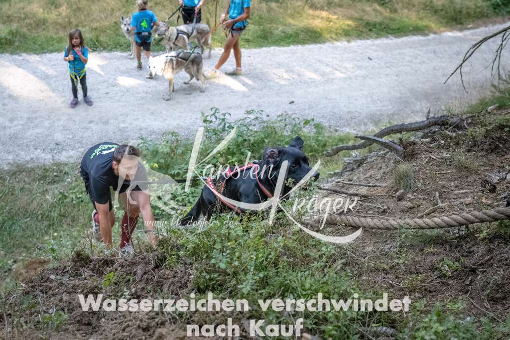 0933_ZZ92054-DeNoiseAI-low-light | kk-dogfotos