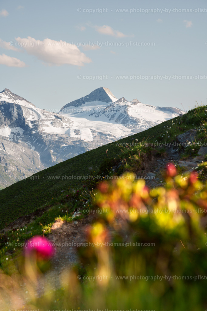 Olpererblick vom Gipfelhang Grüblspitze copyright  Thomas Pfister-1 | PHOTOGRAPHY BY THOMAS PFISTER