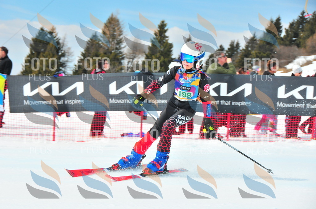 DSC_1814 | holidayphoto