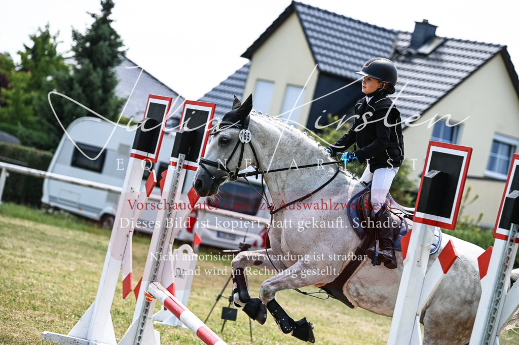 DSC_9814 | Pferde- und Turnierfotografie in Westsachsen. Pferdeportraits, Auftragszeichnungen und intuitive Kunst.