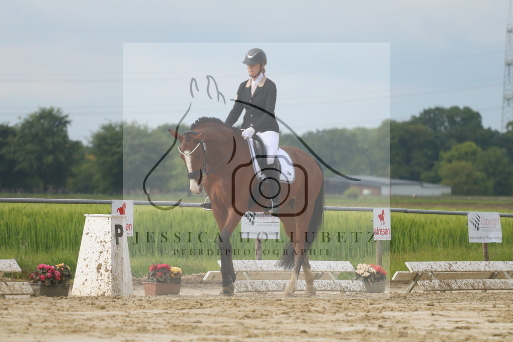 IMG_8385 | jessicahollubetz_pferdephotographie - Realisiert mit Pictrs.com