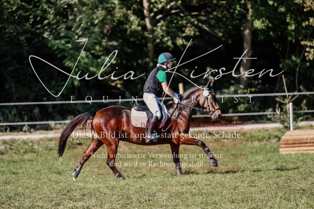 DSC_3608 | Pferde- und Turnierfotografie in Westsachsen. Pferdeportraits, Auftragszeichnungen und intuitive Kunst.