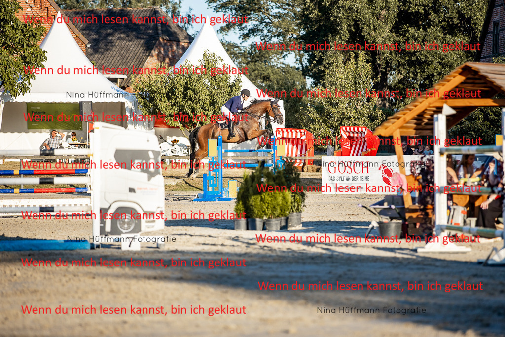 BK1A8554 | Turnierbilder Turnierfotos Nina Hüffmann Turnierfotografie Pferdefotografie Tierzeichnung Haustierzeichnung Pferdezeichnung Hundezeichnung Videograf  - Realisiert mit Pictrs.com