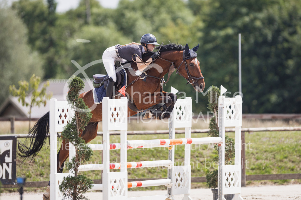 250629_PfSpTa_L-Spr2-407 | Deine schönsten Turniermomente als professionelle Fotos! Entdecke hochwertige Pferdesport-Fotografie im Online-Shop. Jetzt Fotos finden & bestellen!