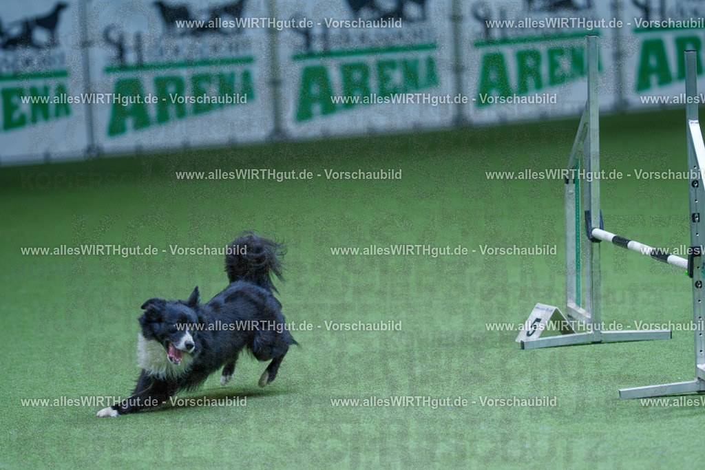 @allesWIRTHgut_Tierfotografie - www.allesWIRTHgut.de - 2604251248-7R502852 | Professionelle Tierfotografie in Mönchengladbach von Daniel Wirth (allesWIRTHgut). Liebevolle & natürliche Bilder von Hunden & Katzen für unvergessliche Erinnerungen.