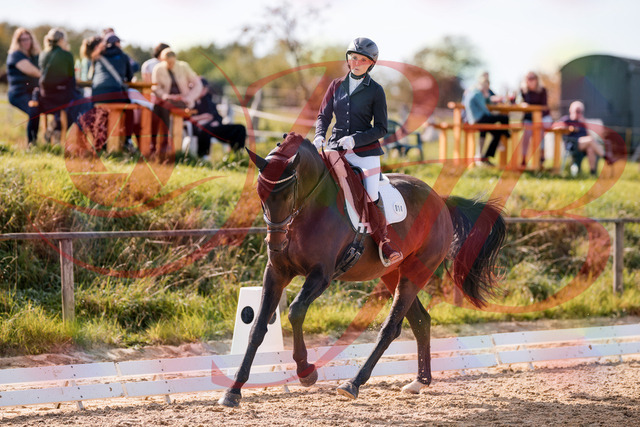 2026_10_03_Siefer-Hof_133743_Z81_93351476 | Professionelle Reitsport-, Turnier- und Eventfotografie von Robert Broda. Galerien mit ausgewählten und bearbeiteten Bildern direkt online ansehen und bestellen.