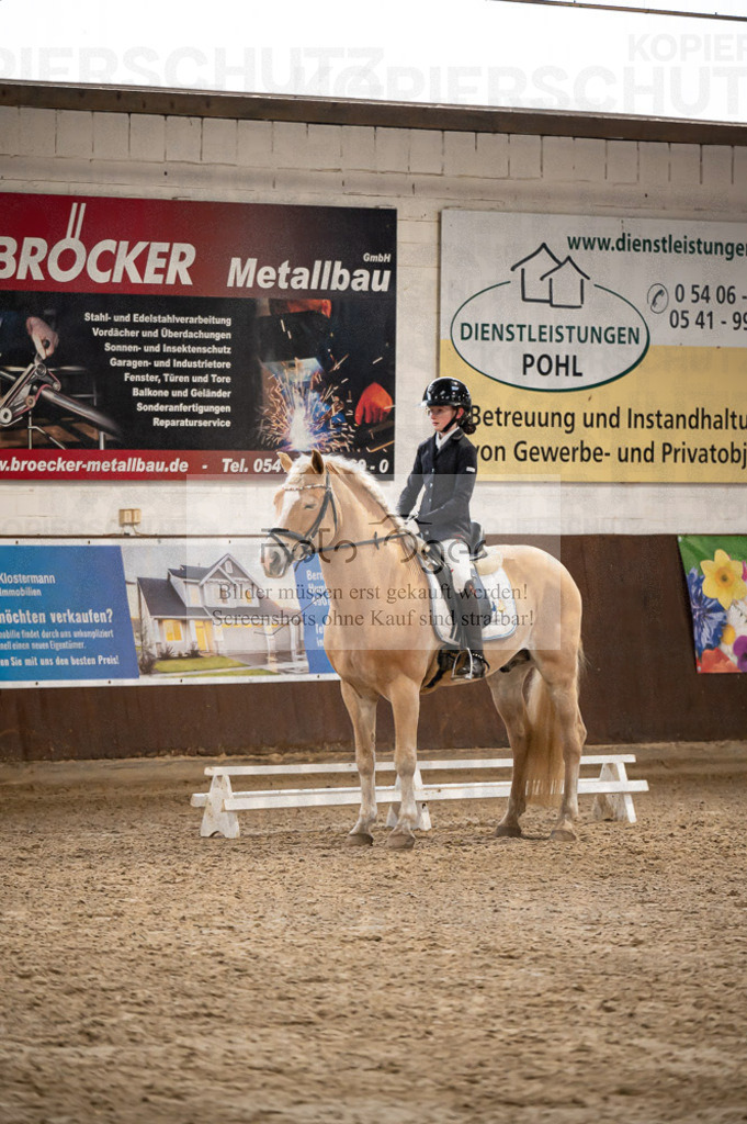 Hallenreittunier Voxtrup 2023 | Entdecke hochwertige Reitturnierfotos von Foto Oger. Professionell, emotional und authentisch – jetzt Lieblingsmomente im Shop bestellen.Deutschlandweite Turnierfotografie. - Realisiert mit Pictrs.com