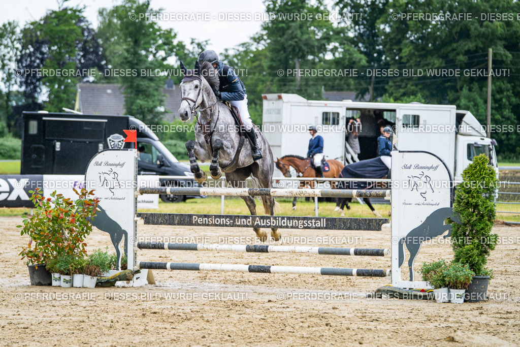 DSC03788 | Pferdegrafie