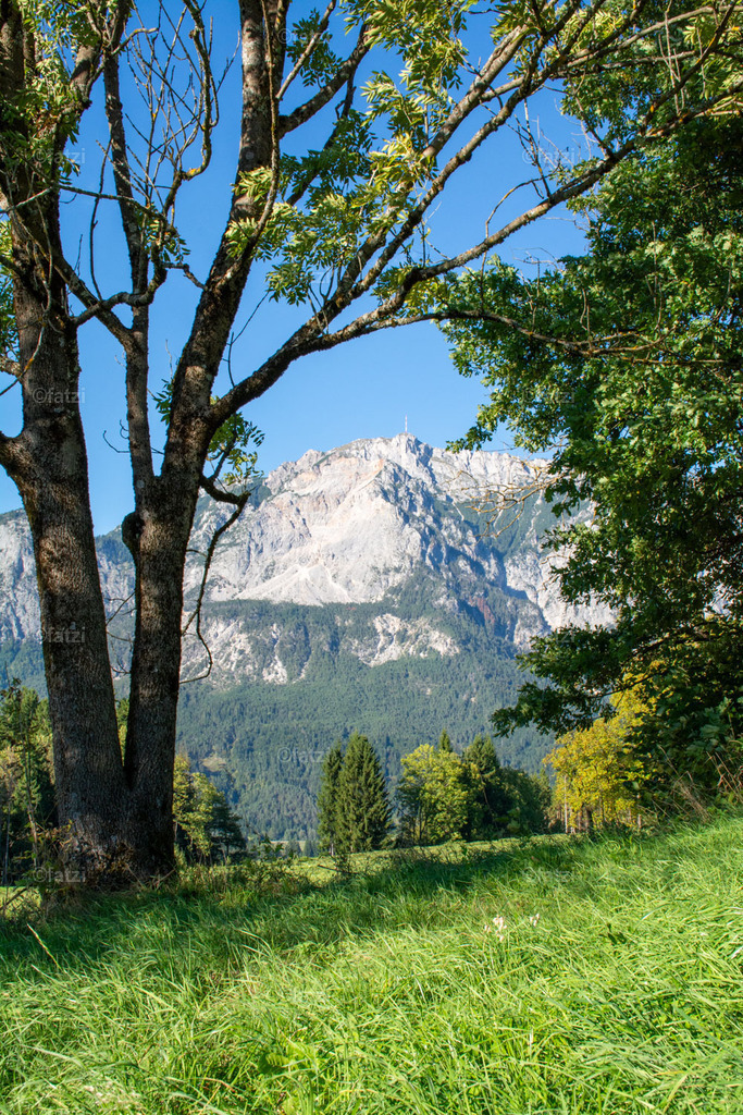 Dobr Panorama 2025 (Hohenthurn)_164907__fatzi | Fatzi Bilder-Archiv! 
Die Bilder sind für private Nutzung lizenzfrei. Die kommerzielle Nutzung ist möglich und erwünscht, jedoch bitte ich um vorherige Kontaktaufnahme per E-Mail (info@fatzi.at) oder unter +43 650 7828269 - Realisiert mit Pictrs.com