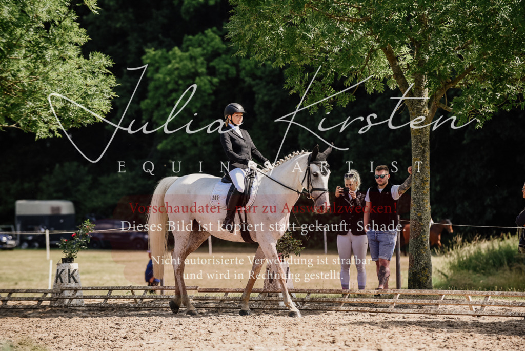 DSC_0377 | Pferde- und Turnierfotografie in Westsachsen. Pferdeportraits, Auftragszeichnungen und intuitive Kunst.