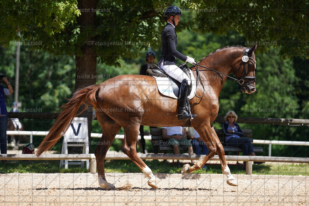 20240705-FAH03571 | Turnierbilder von Grafing, Reitsportbilder, Turnierfotos, Turnierfotografen Bayern, Pferdefotograf, Fotoagentur Herrmann