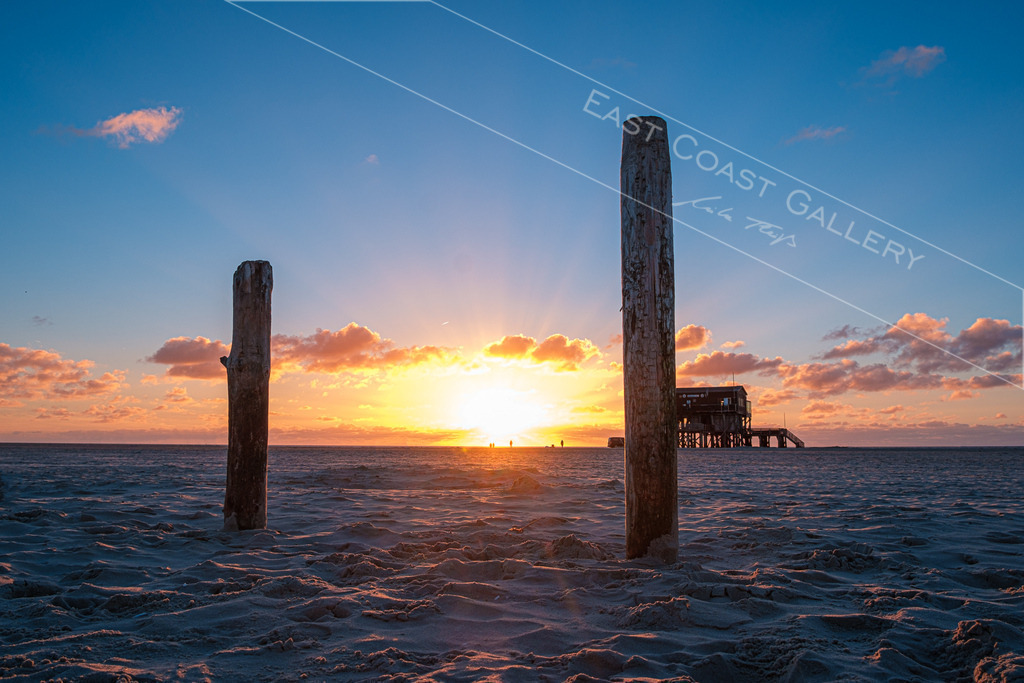 Golden Goal | EastCoastGallery - Realisiert mit Pictrs.com